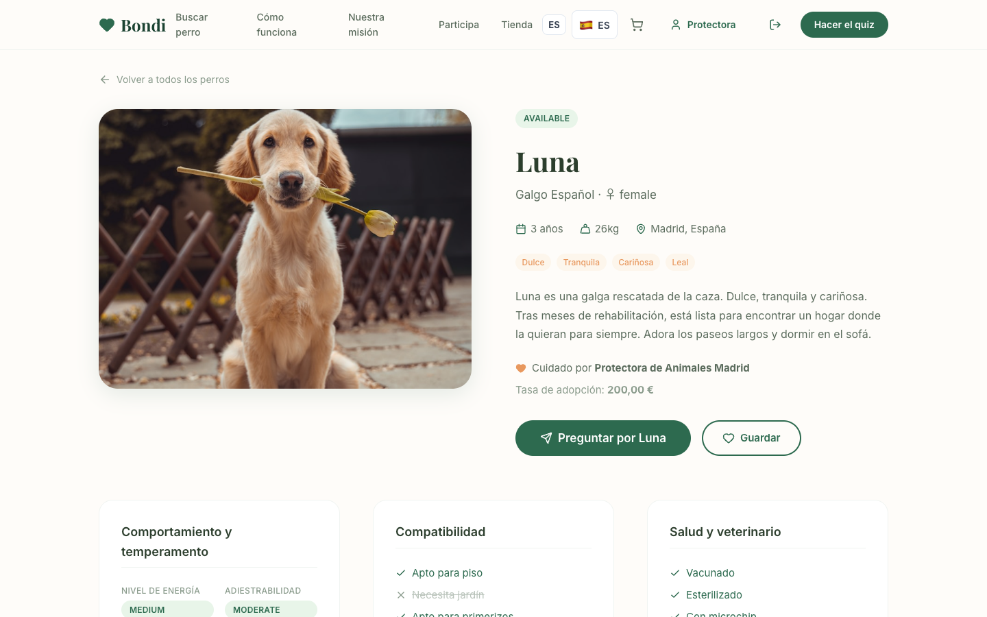 Bondi dog profile