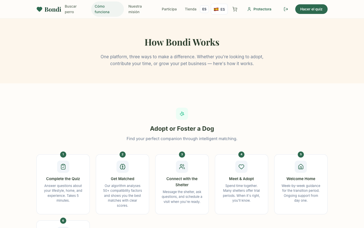 Bondi how it works